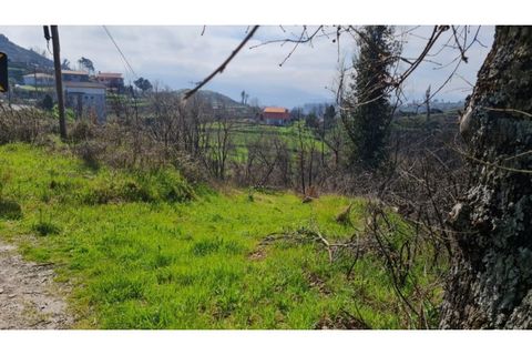 Landejendom i Frende, Porto, Frende - € 335.000 | Ref: MC09907 - foto 11