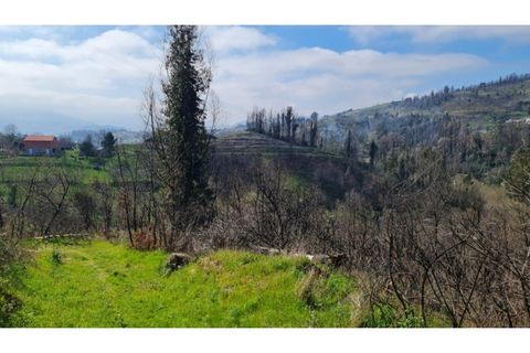 Landejendom i Frende, Porto, Frende - € 335.000 | Ref: MC09907 - foto 13