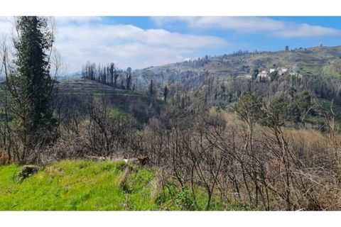 Landejendom i Frende, Porto, Frende - € 335.000 | Ref: MC09907 - foto 14