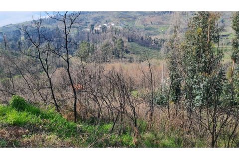 Landejendom i Frende, Porto, Frende - € 335.000 | Ref: MC09907 - foto 15