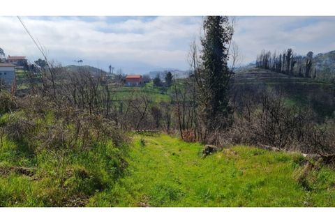 Landejendom i Frende, Porto, Frende - € 335.000 | Ref: MC09907 - foto 16