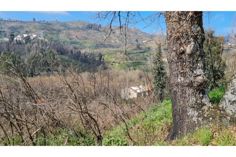 Landejendom i Frende, Porto, Frende - € 335.000 | Ref: MC09907 - foto 17