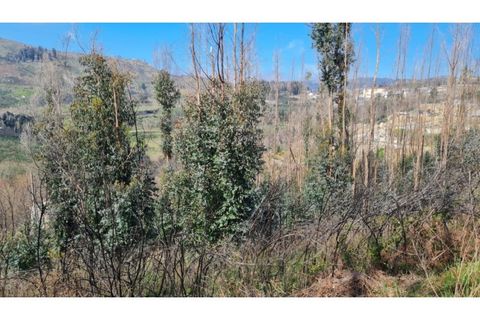 Landejendom i Frende, Porto, Frende - € 335.000 | Ref: MC09907 - foto 18