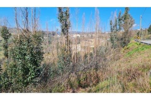 Landejendom i Frende, Porto, Frende - € 335.000 | Ref: MC09907 - foto 19