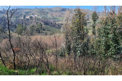 Landejendom i Frende, Porto, Frende - € 335.000 | Ref: MC09907 - foto 20