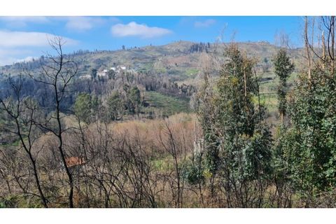 Landejendom i Frende, Porto, Frende - € 335.000 | Ref: MC09907 - foto 21