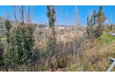 Landejendom i Frende, Porto, Frende - € 335.000 | Ref: MC09907 - foto 22