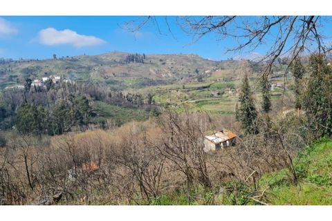 Landejendom i Frende, Porto, Frende - € 335.000 | Ref: MC09907 - foto 23