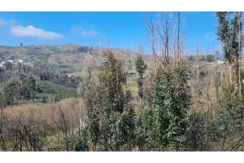 Landejendom i Frende, Porto, Frende - € 335.000 | Ref: MC09907 - foto 24