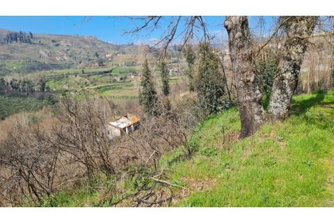 Landejendom i Frende, Porto, Frende - € 335.000 | Ref: MC09907 - foto 25