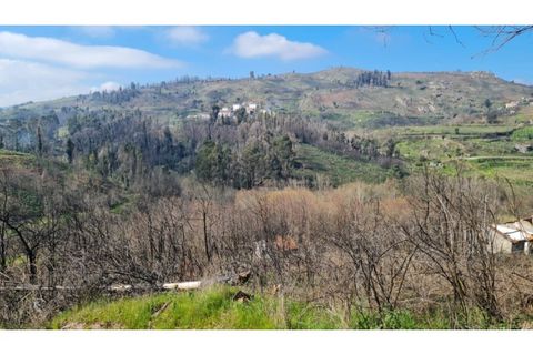Landejendom i Frende, Porto, Frende - € 335.000 | Ref: MC09907 - foto 26