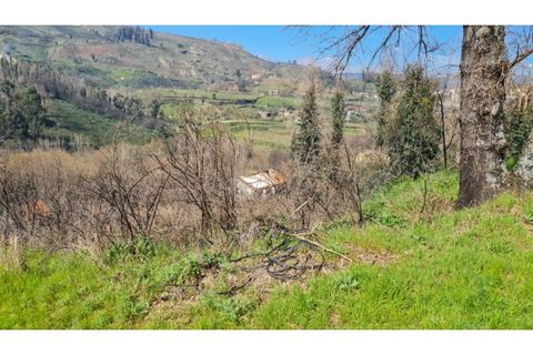Landejendom i Frende, Porto, Frende - € 335.000 | Ref: MC09907 - foto 27