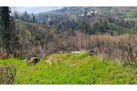 Landejendom i Frende, Porto, Frende - € 335.000 | Ref: MC09907 - foto 28