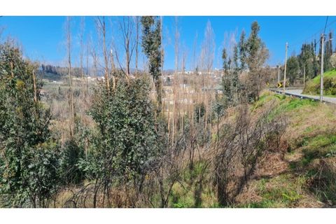 Landejendom i Frende, Porto, Frende - € 335.000 | Ref: MC09907 - foto 29