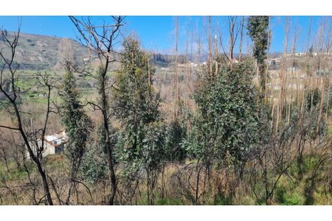 Landejendom i Frende, Porto, Frende - € 335.000 | Ref: MC09907 - foto 30