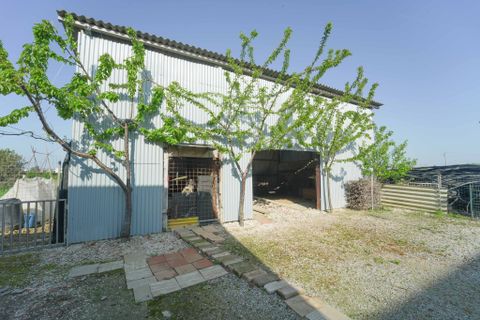 Villa a Gatteo, Forli-Cesena, Gatteo - € 279.000 | Ref: 31294-3 - foto 33