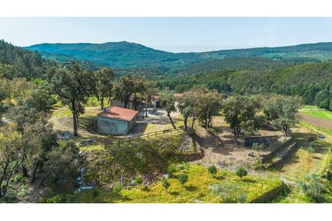 Farm i Santo Andre, Setubal, Santo Andre - € 400.000 | Ref: VIL_1025 - foto 6