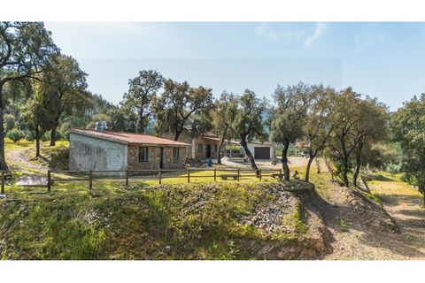 Farm i Santo Andre, Setubal, Santo Andre - € 400.000 | Ref: VIL_1025 - foto 7