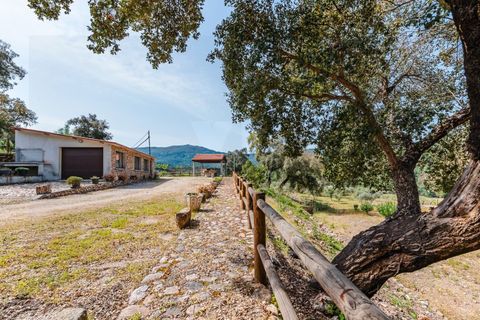 Farm i Santo Andre, Setubal, Santo Andre - € 400.000 | Ref: VIL_1025 - foto 9