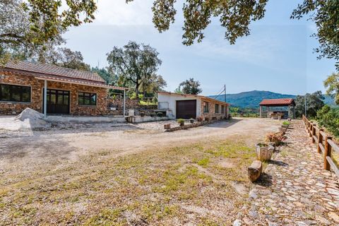 Farm i Santo Andre, Setubal, Santo Andre - € 400.000 | Ref: VIL_1025 - foto 10