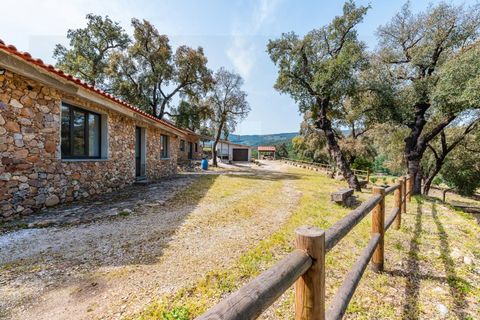 Farm i Santo Andre, Setubal, Santo Andre - € 400.000 | Ref: VIL_1025 - foto 11