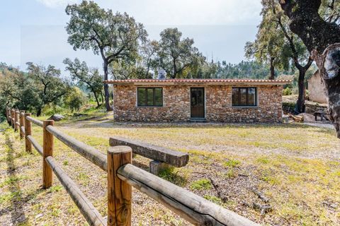 Farm i Santo Andre, Setubal, Santo Andre - € 400.000 | Ref: VIL_1025 - foto 12