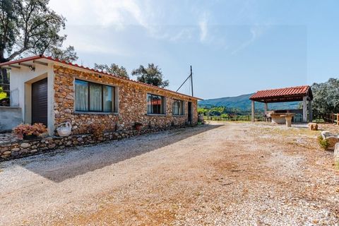 Farm i Santo Andre, Setubal, Santo Andre - € 400.000 | Ref: VIL_1025 - foto 16