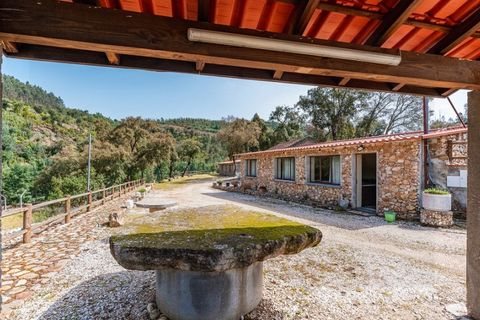 Farm i Santo Andre, Setubal, Santo Andre - € 400.000 | Ref: VIL_1025 - foto 20