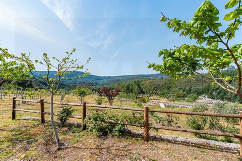 Farm i Santo Andre, Setubal, Santo Andre - € 400.000 | Ref: VIL_1025 - foto 24