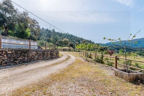 Farm i Santo Andre, Setubal, Santo Andre - € 400.000 | Ref: VIL_1025 - foto 25