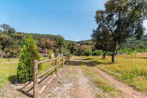 Farm i Santo Andre, Setubal, Santo Andre - € 400.000 | Ref: VIL_1025 - foto 28