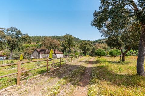 Farm i Santo Andre, Setubal, Santo Andre - € 400.000 | Ref: VIL_1025 - foto 32