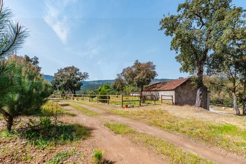 Farm i Santo Andre, Setubal, Santo Andre - € 400.000 | Ref: VIL_1025 - foto 33