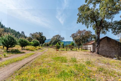Farm i Santo Andre, Setubal, Santo Andre - € 400.000 | Ref: VIL_1025 - foto 34