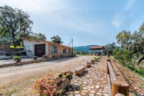 Farm i Santo Andre, Setubal, Santo Andre - € 400.000 | Ref: VIL_1025 - foto 37