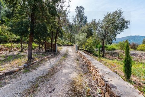 Farm i Santo Andre, Setubal, Santo Andre - € 400.000 | Ref: VIL_1025 - foto 38