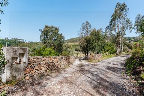 Farm i Santo Andre, Setubal, Santo Andre - € 400.000 | Ref: VIL_1025 - foto 39