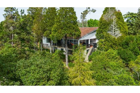 Farm i Arganil, Coimbra, Arganil - € 683.000 | Ref: 3998 QUI - foto 3