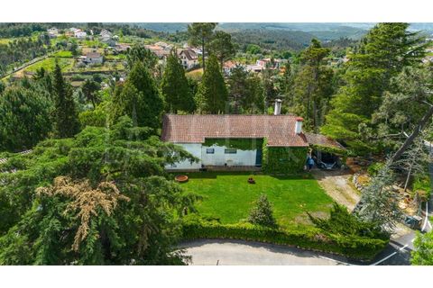 Farm i Arganil, Coimbra, Arganil - € 683.000 | Ref: 3998 QUI - foto 4