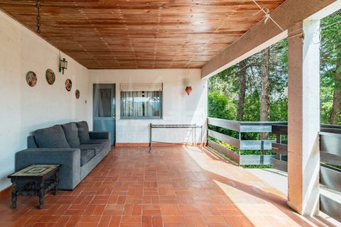 Farm i Arganil, Coimbra, Arganil - € 683.000 | Ref: 3998 QUI - foto 17