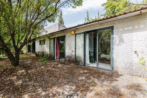 Farm i Arganil, Coimbra, Arganil - € 683.000 | Ref: 3998 QUI - foto 37