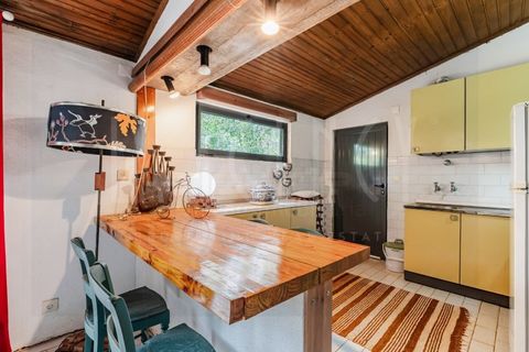 Farm i Arganil, Coimbra, Arganil - € 683.000 | Ref: 3998 QUI - foto 40