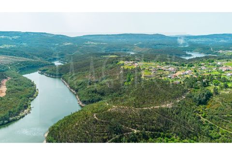 Farm i Arganil, Coimbra, Arganil - € 683.000 | Ref: 3998 QUI - foto 48