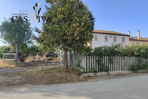 Landejendom i Ripatransone, Ascoli Piceno, Ripatransone - € 200.000 | Ref: CV9466 - foto 8