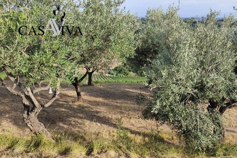 Landejendom i Ripatransone, Ascoli Piceno, Ripatransone - € 200.000 | Ref: CV9466 - foto 10