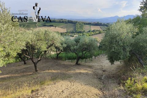 Landejendom i Ripatransone, Ascoli Piceno, Ripatransone - € 200.000 | Ref: CV9466 - foto 11