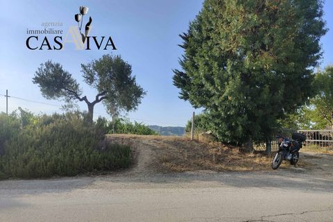 Landejendom i Ripatransone, Ascoli Piceno, Ripatransone - € 200.000 | Ref: CV9466 - foto 13