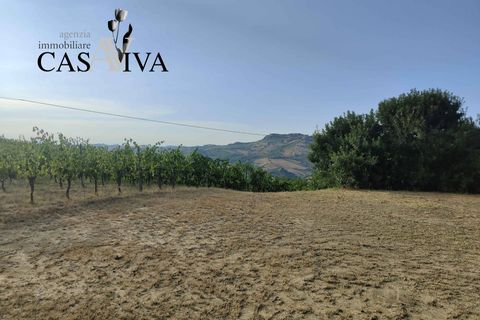 Landejendom i Ripatransone, Ascoli Piceno, Ripatransone - € 200.000 | Ref: CV9466 - foto 15