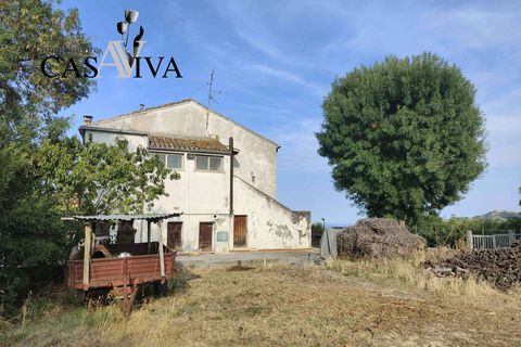 Landejendom i Ripatransone, Ascoli Piceno, Ripatransone - € 200.000 | Ref: CV9466 - foto 16