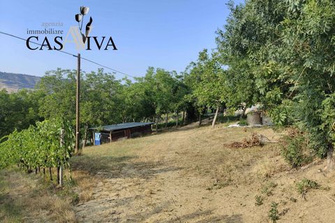 Landejendom i Ripatransone, Ascoli Piceno, Ripatransone - € 200.000 | Ref: CV9466 - foto 18